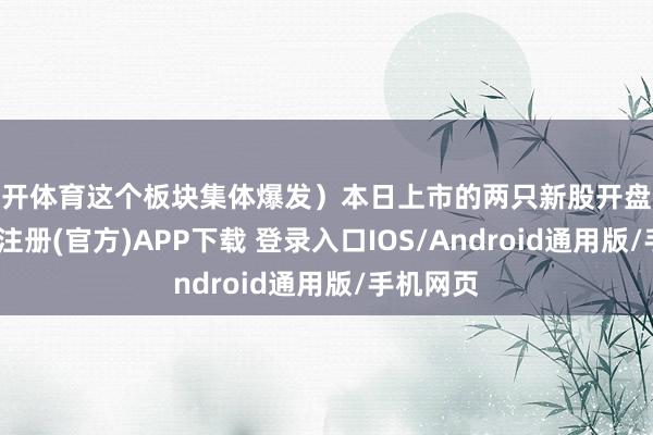 云开体育这个板块集体爆发）本日上市的两只新股开盘大涨-开云注册(官方)APP下载 登录入口IOS/Android通用版/手机网页